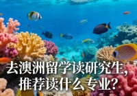 去澳洲留学读研究生，推荐读什么专业？